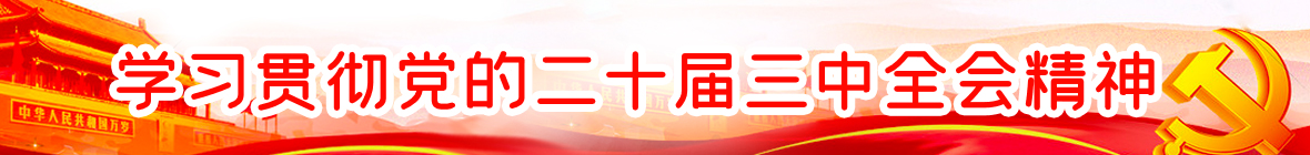 學(xué)習(xí)貫徹二十屆三中全會(huì)精神